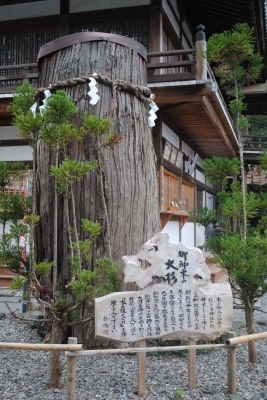 伊太祁曽神社の神木